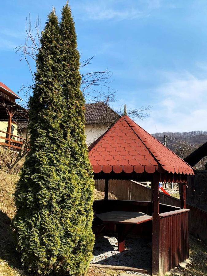 Vila Casa Gyero Sovata Exteriér fotografie